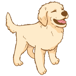 <span class="translation_missing" title="translation missing: it.footer.masa_alt">Masa Alt</span>